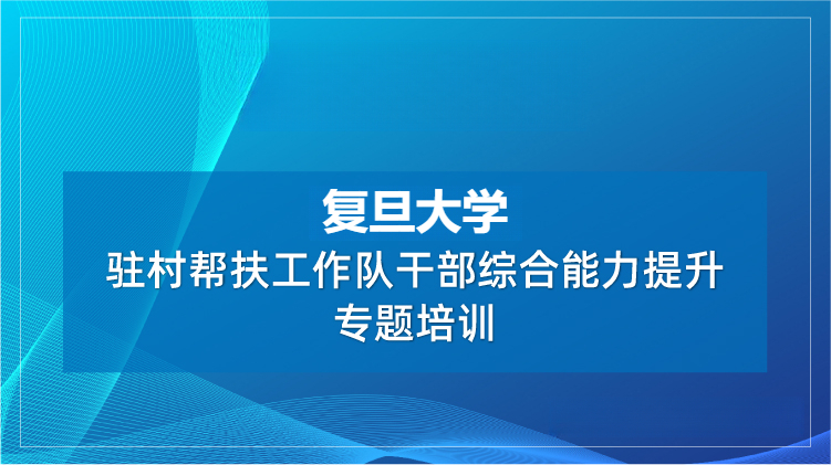 驻村帮扶工作队干部综合能力提升培训专题